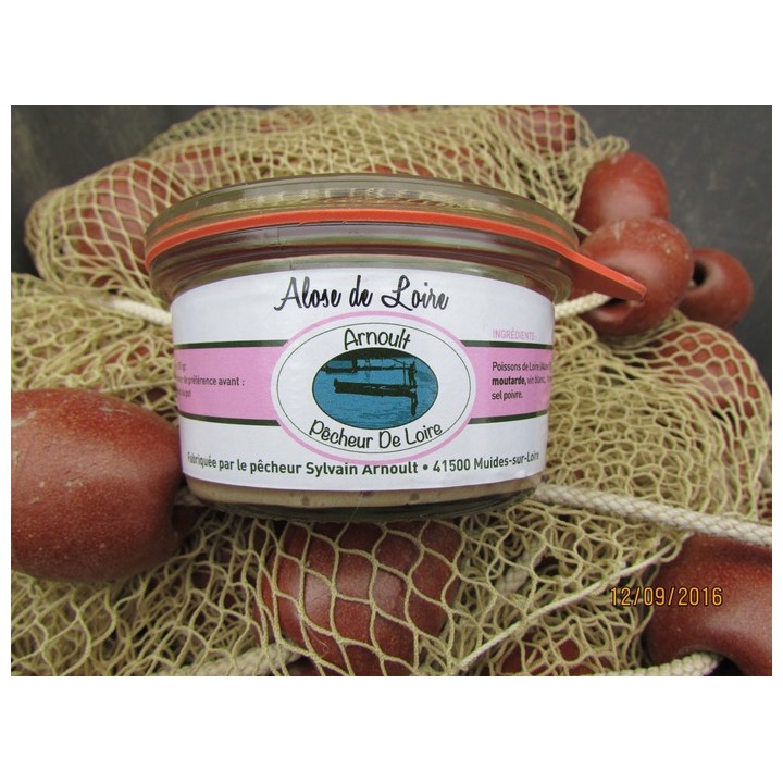 Alose de Loire